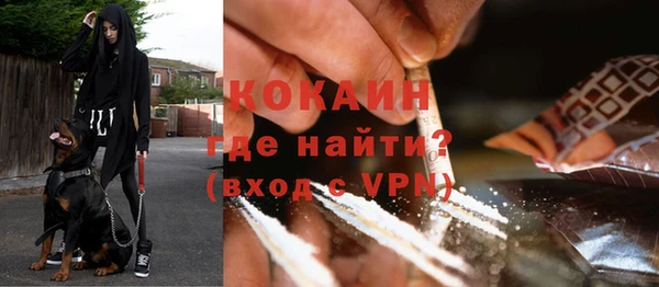ГАЛЛЮЦИНОГЕННЫЕ ГРИБЫ Абаза