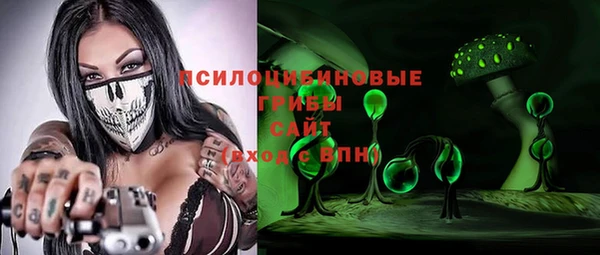ГАЛЛЮЦИНОГЕННЫЕ ГРИБЫ Абаза