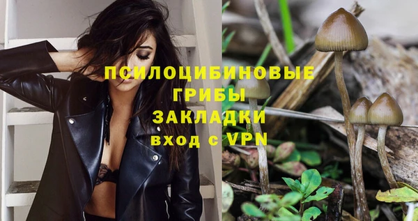 ГАЛЛЮЦИНОГЕННЫЕ ГРИБЫ Абаза