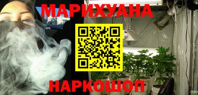 крисы Свободный