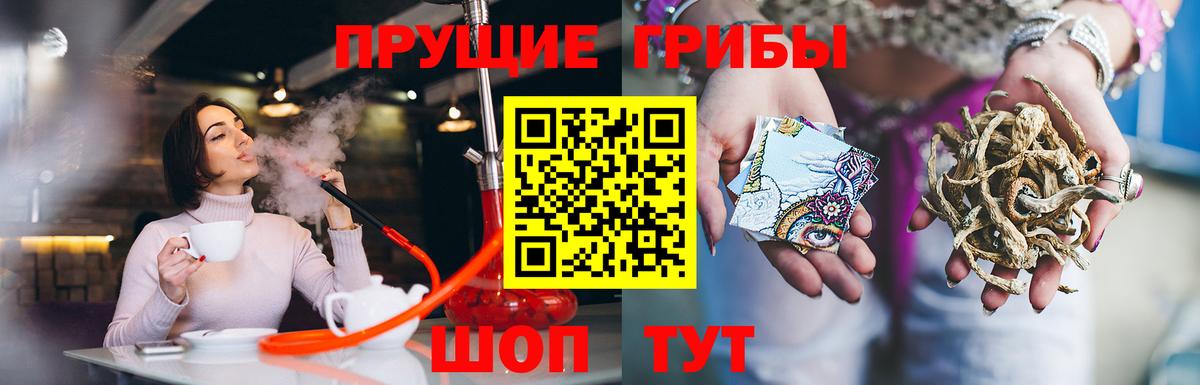 Галлюциногенные грибы Cubensis  Галлюциногенные грибы ЛСД  Вход с VPN  Истра 